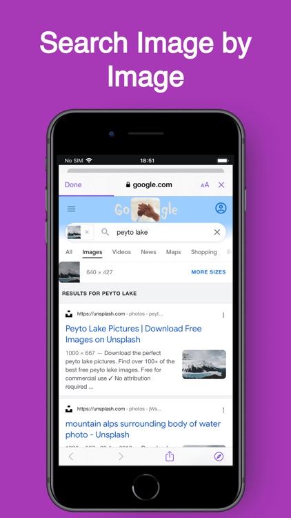 Image Reverse - Image Search