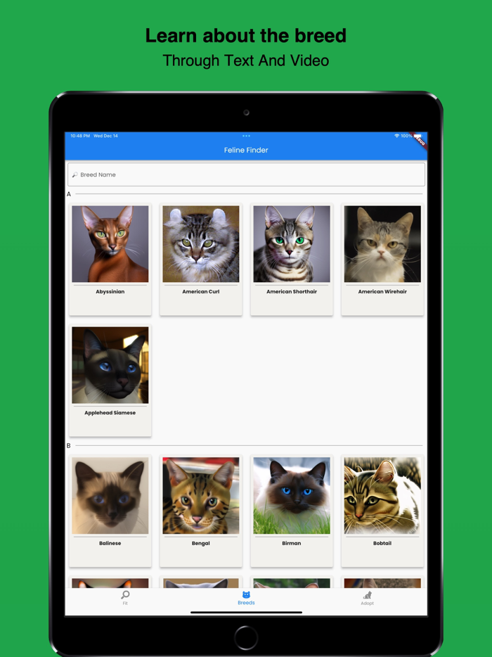 Feline Finder - When Adopting