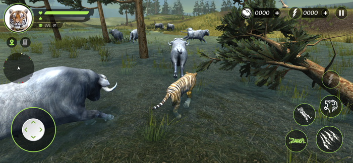 Wild Tiger Hunting Animal Life