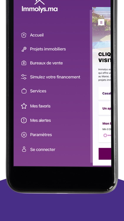 Immolys screenshot-4