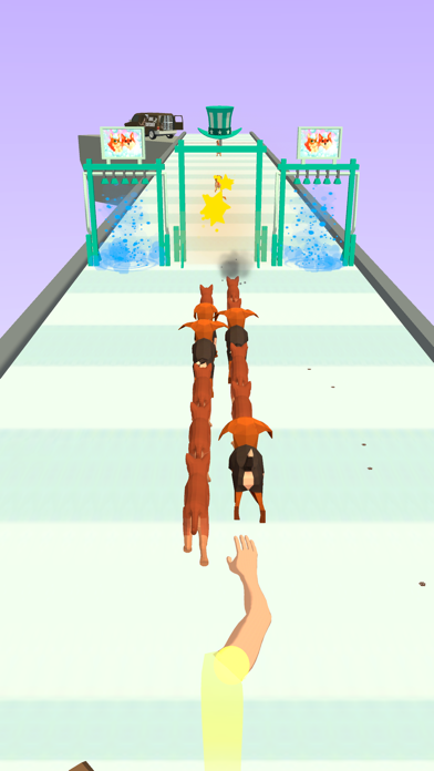 Cute Animal Run Screenshot