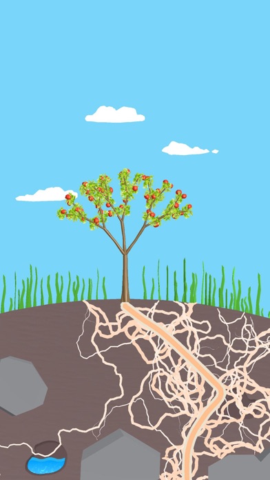 Root Growth Screenshot