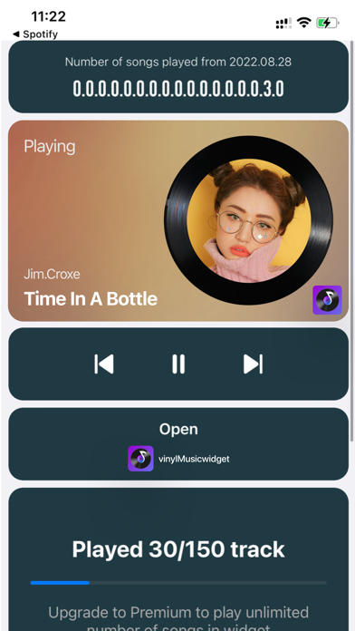 MS Vinyl - Music Widget Screenshot