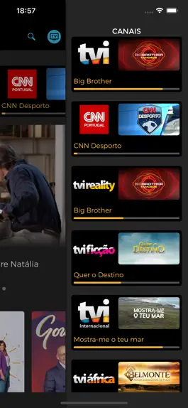 Game screenshot TVI Player apk