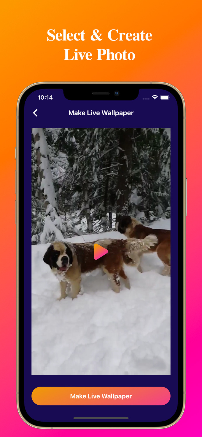 Video To Live Wallpapers