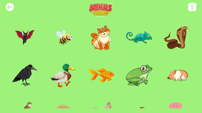 Animals Name Learning Toddles Screenshot