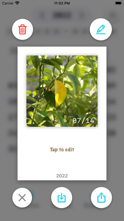 Cardairy - Cards for dairy