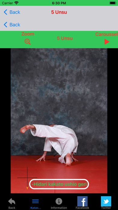 KATAS SHITO-RYU4 Screenshot