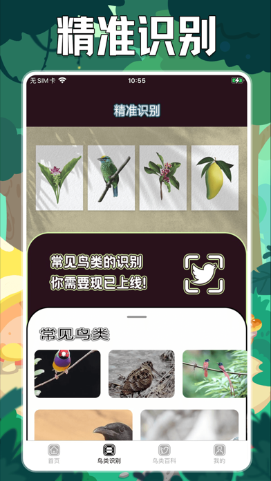 孤独的鸟-治愈不开心 screenshot