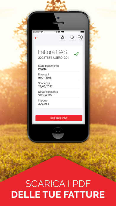 Gestione Italia Spa Screenshot