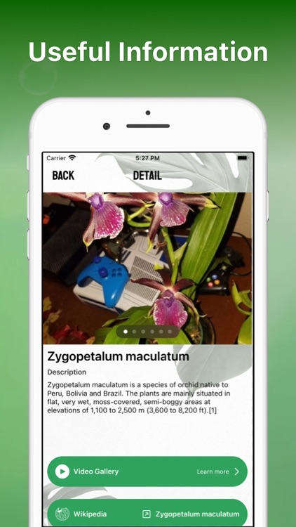 Plant Identifier Aрр Plant ID screenshot-3