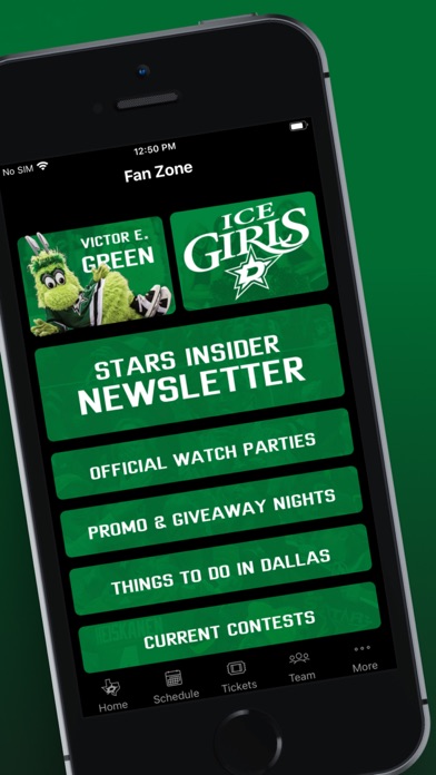 Dallas Stars Screenshot