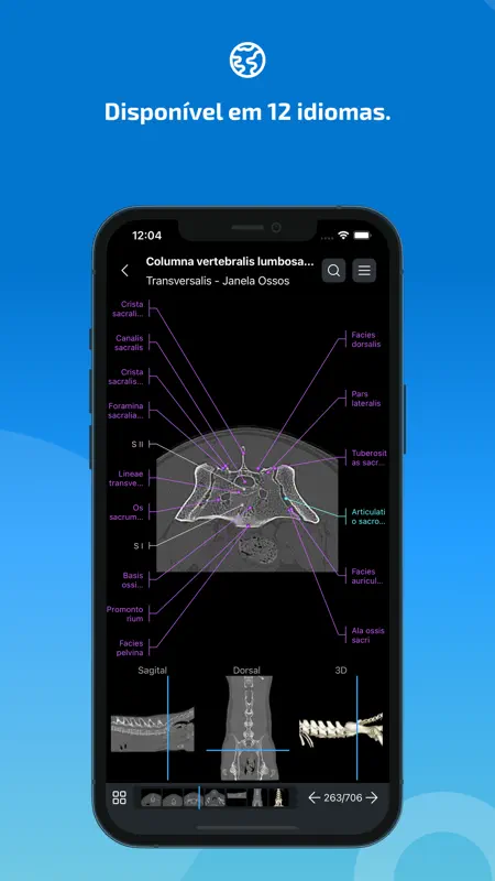 IMAIOS vet-Anatomy screenshot 8 of 9