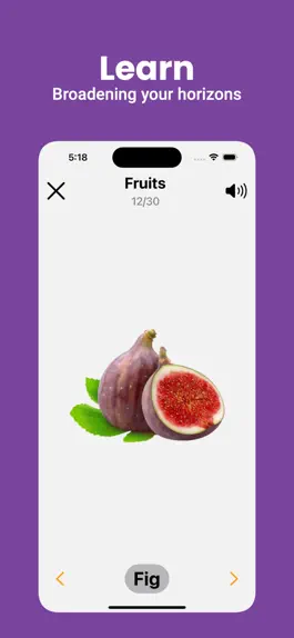 Game screenshot English Flashcard for Beginner apk