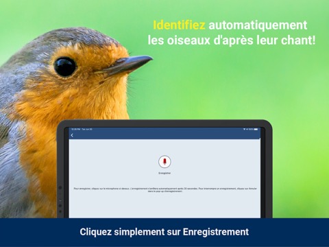 Chants d’oiseaux automatiqueのおすすめ画像2