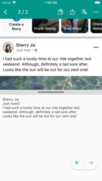 Copy Text On Screen