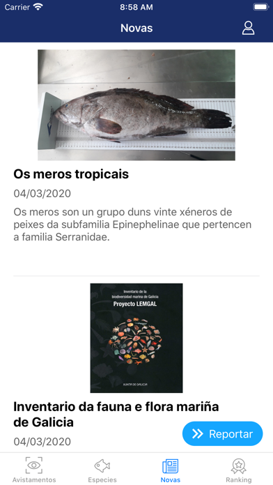 Redogal Screenshot