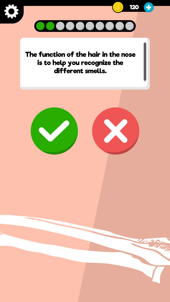 Anatomy and Physiology Quiz