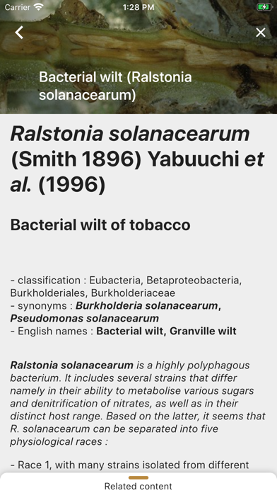 DiagnoPlantTobacco Screenshot