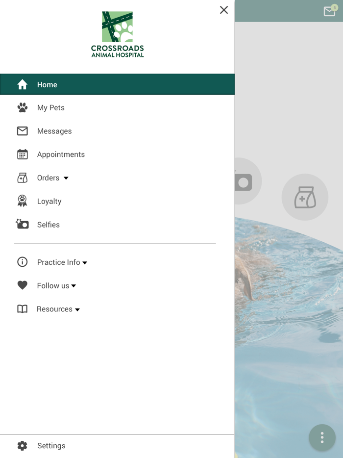 Crossroads Animal Hosp