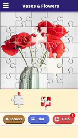 Game screenshot Vases & Flowers Puzzle hack