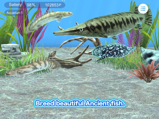 My ancient fish Aquarium