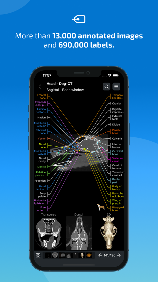 #2. IMAIOS vet-Anatomy (iOS) 由: IMAIOS