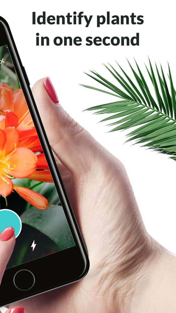 Plantyx - Plant Identification App for iPhone - Free ...