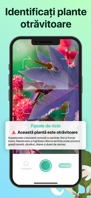 PictureThis - Flori și copaci în App Store