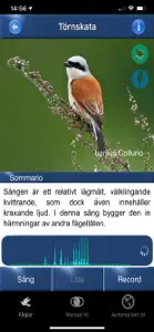 Fågelsång Id - fåglar screenshot #1 for iPhone