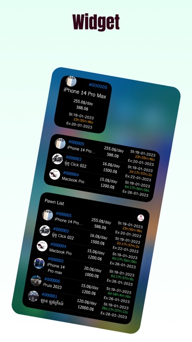 Pawn | Loan Screenshot
