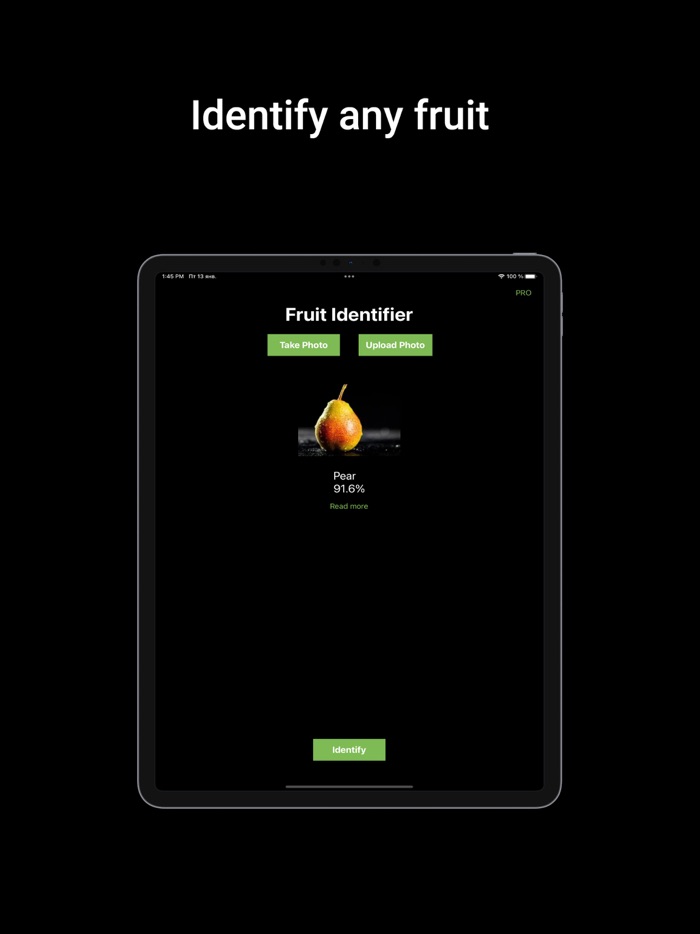 Fruit Identifier Fruit ID