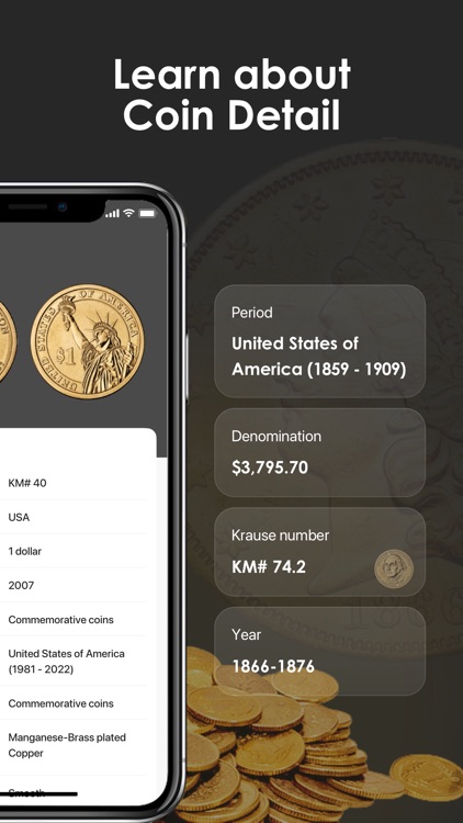 iCoin - Identify Coins Value screenshot-4