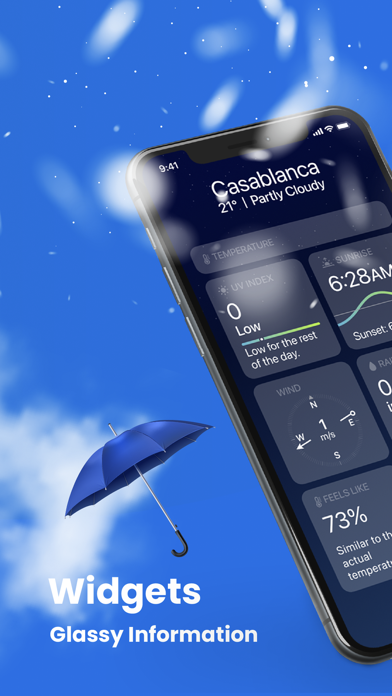 Weather - The Weather forecast Screenshot