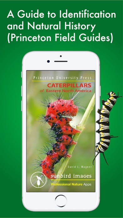 Screenshot #1 pour Caterpillar Id USA East Coast