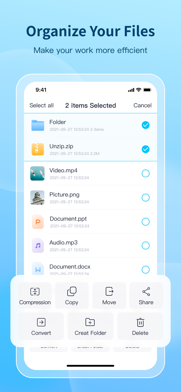 100ZG-Format Conversion