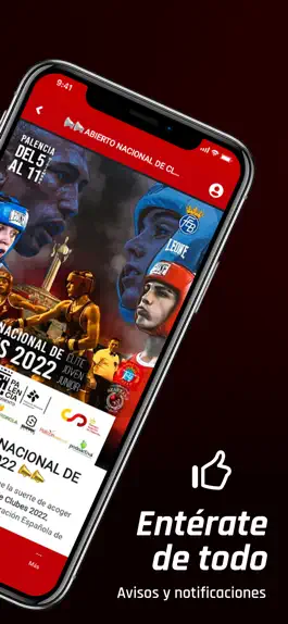 Game screenshot Fed. Boxeo Castilla y León hack