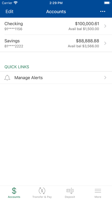 Domino Federal Credit Union Screenshot