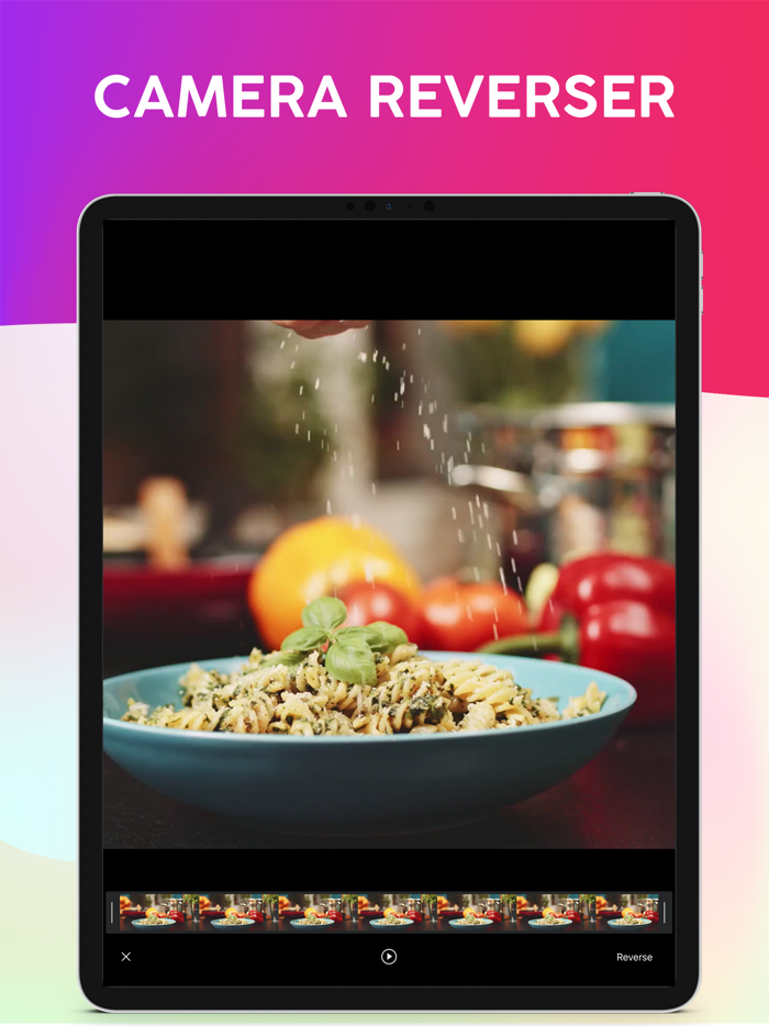 Reverser Camera Loop Repeator