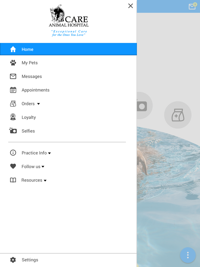 Care Animal Hospital Temecula