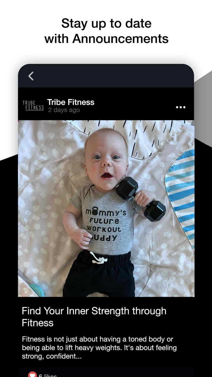 Tribe Fitness LLC