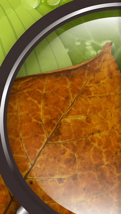 DiagnoPlantTobacco Screenshot