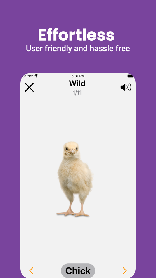 #2. English Flashcard for Beginner (iOS) 由: Kok Keong