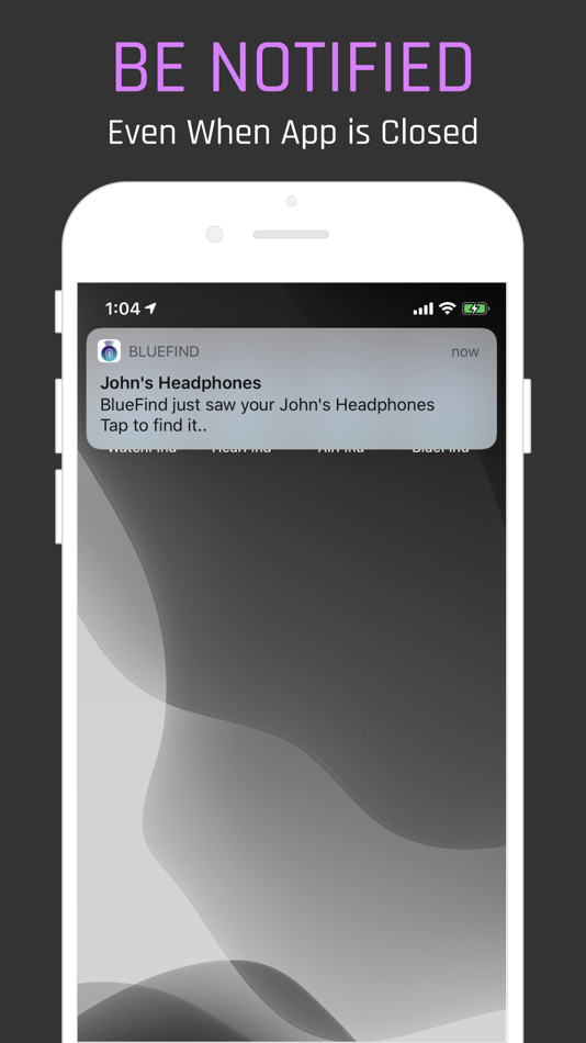 #4. BlueFind (iOS) 게시자: Tech Positive