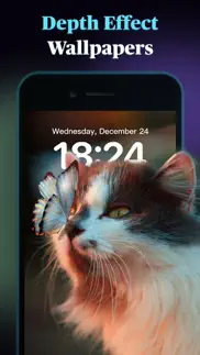 themes: widget,wallpaper,icon iphone screenshot 4