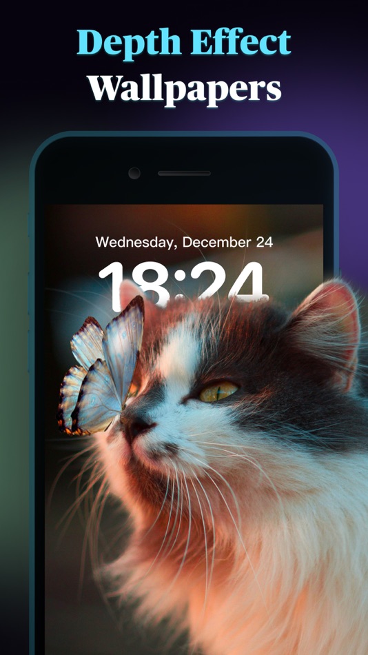 #4. Themes: Widget,Wallpaper,Icon (iOS) 由: 晶 陈