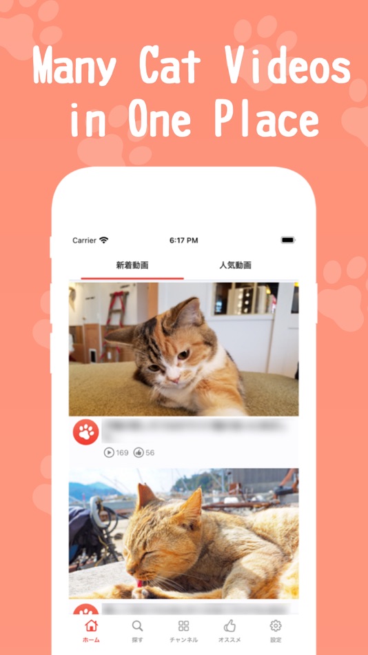 #1. Meow Channel (iOS) 由: Keishi Okazaki