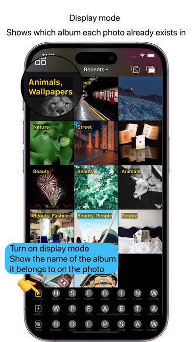 Screenshot #2 pour Sorted Photo - Album Organizer