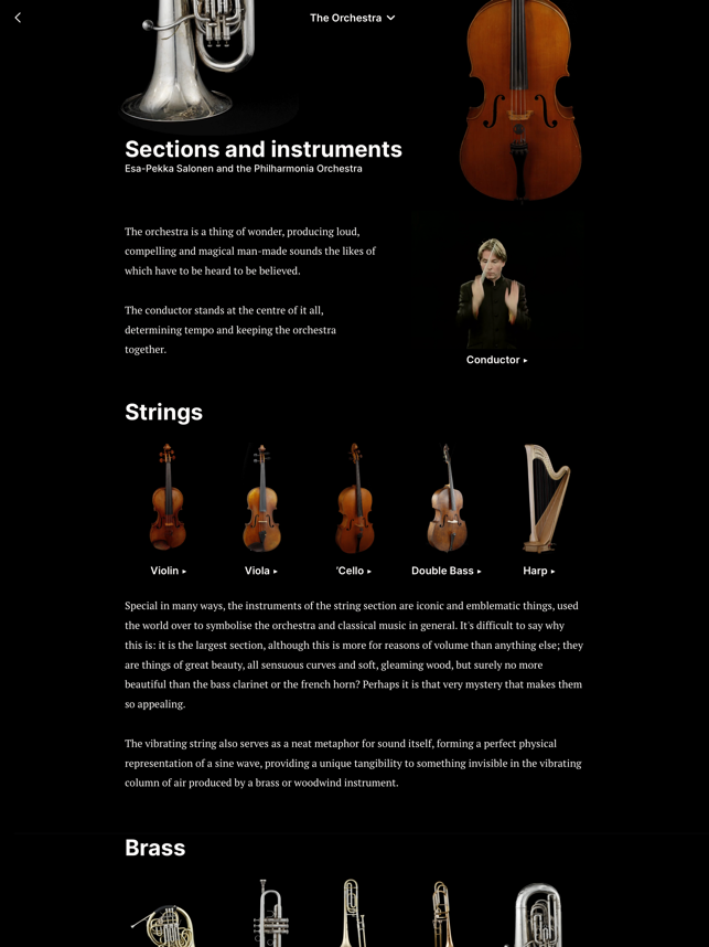 Screenshot van het orkest