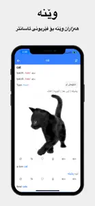 Rebin Dict Plus - Kurdish screenshot #1 for iPhone